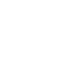 INVESTOR FINANCE