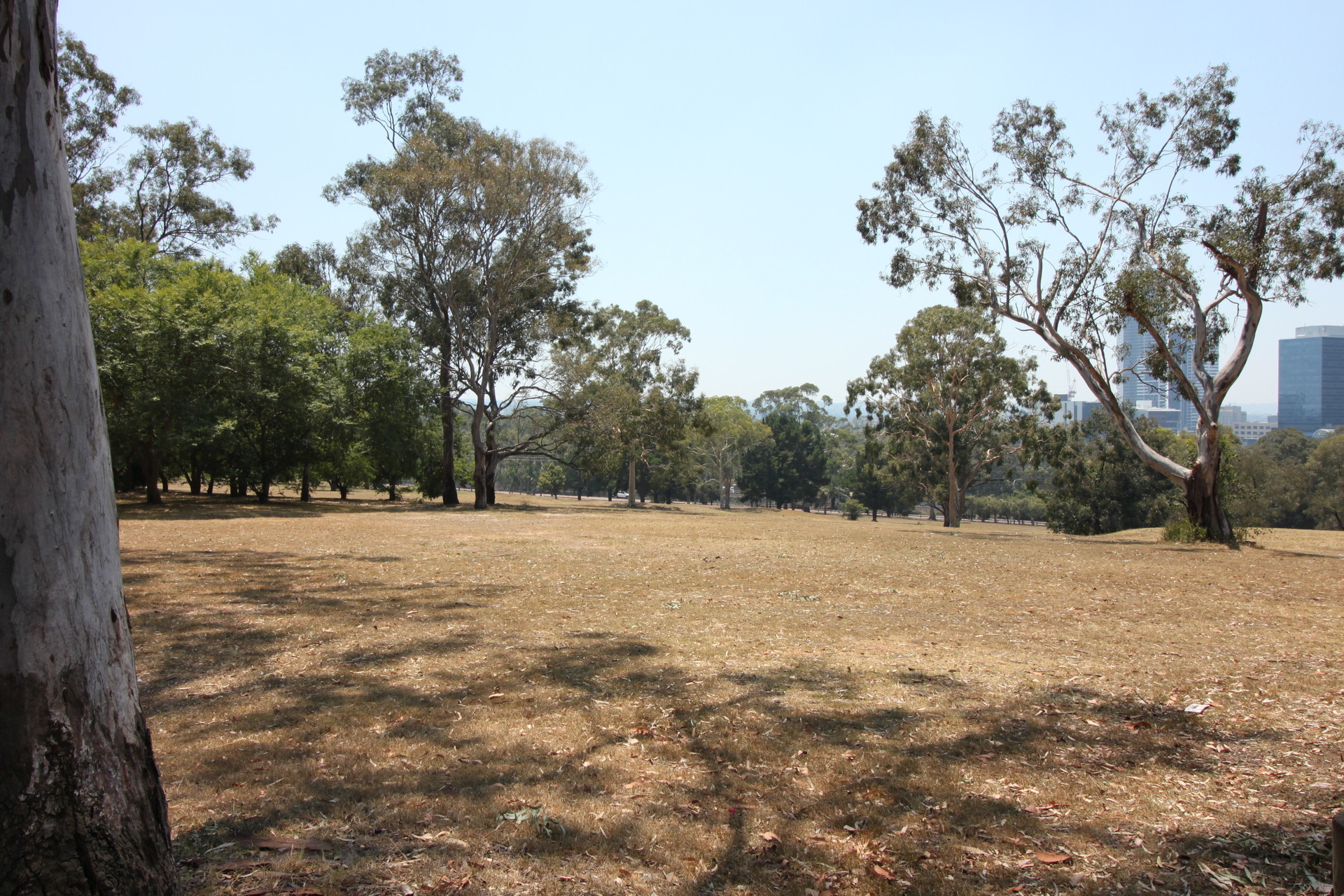 Property Gallery