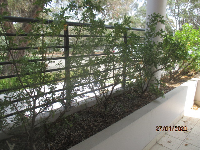 Property Gallery